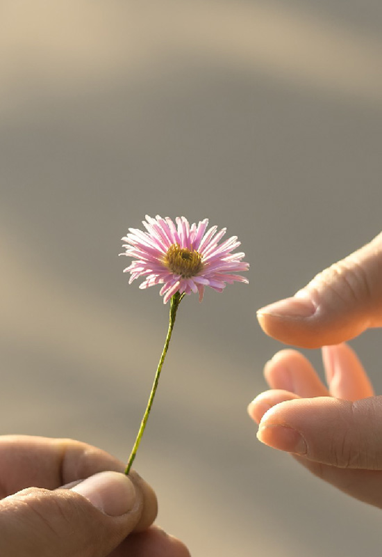 Finger Hand Blume