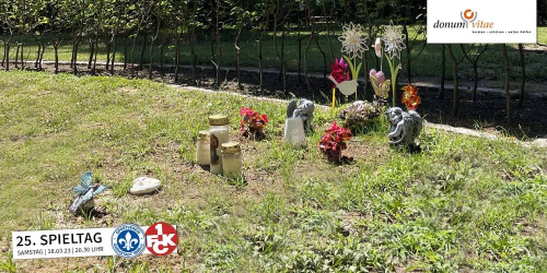 Ein Ort auf Erden für Sternenkinder